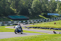 Vintage-motorcycle-club;eventdigitalimages;mallory-park;mallory-park-trackday-photographs;no-limits-trackdays;peter-wileman-photography;trackday-digital-images;trackday-photos;vmcc-festival-1000-bikes-photographs